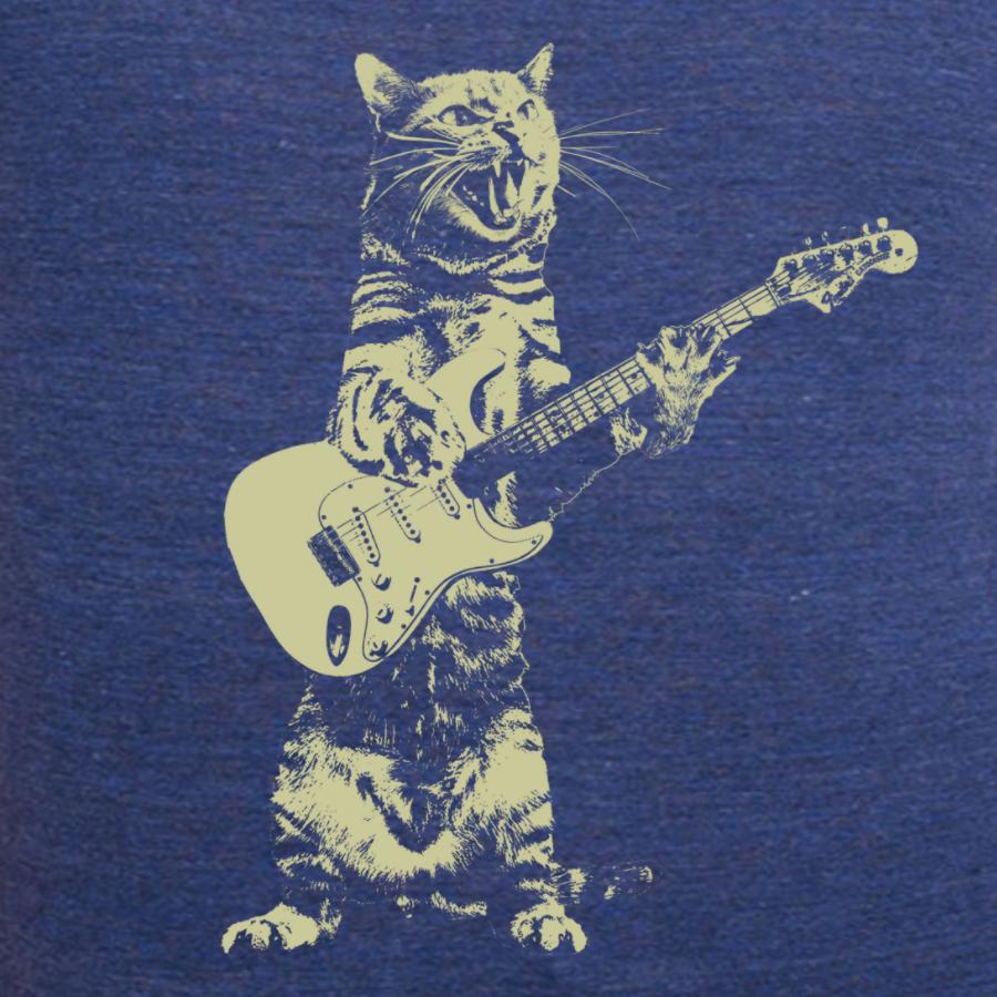 Cat playing guitar