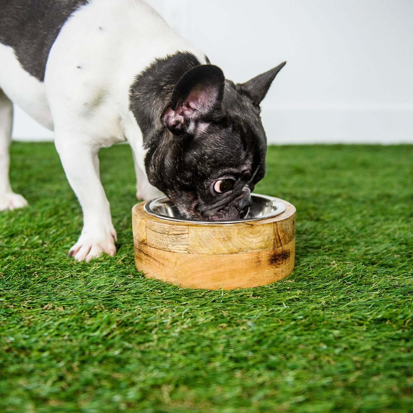 Handmade Mango Wood Pet Bowl- Victoria's Orchid